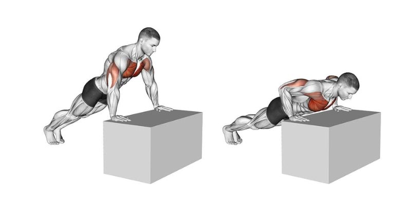 Bài Tập Chống Đẩy (Push-up)