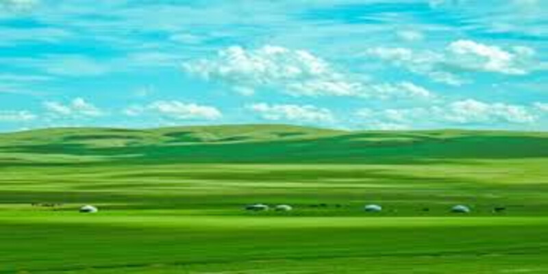 Nhạc Thảo Nguyên Mông Cổ