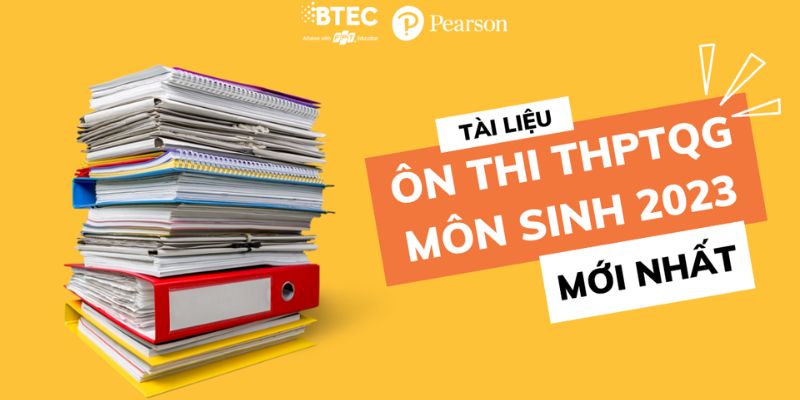 Phương Pháp Ôn Tập Hiệu Quả