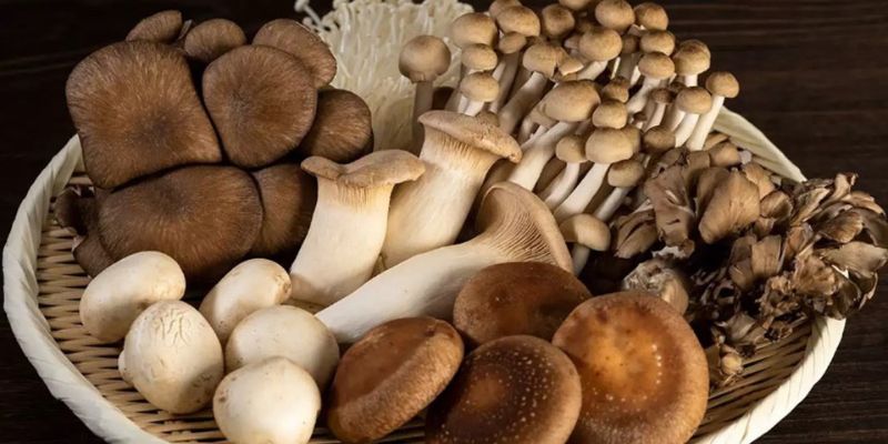 Top thực phẩm thuần chay dễ chế biến tại nhà