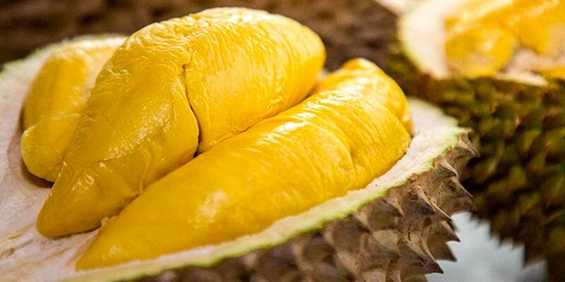 Tác dụng của quả sầu riêng là gì?